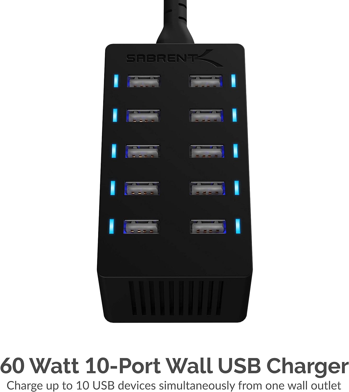 Sabrent 60 Watt (12 Amp) 10-Port [UL Certified] Family-Sized Desktop USB Rapid Charger. Smart USB Ports with Auto Detect Technology [Black] (AX-TPCS)